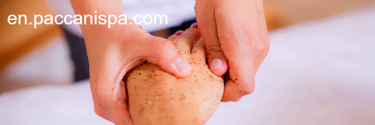 en.paccanispa.com
